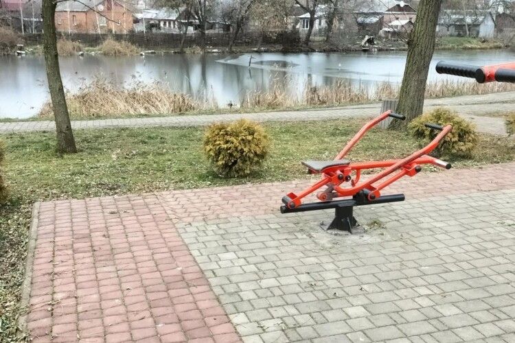 З парку у Рожищі викрали туї