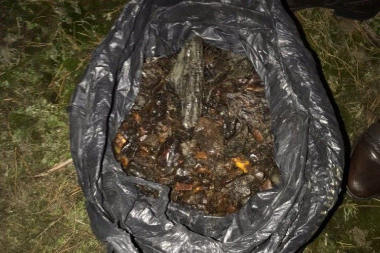 У мешканця Рівненщини на Волині вилучили 8 кг незаконно видобутого бурштину