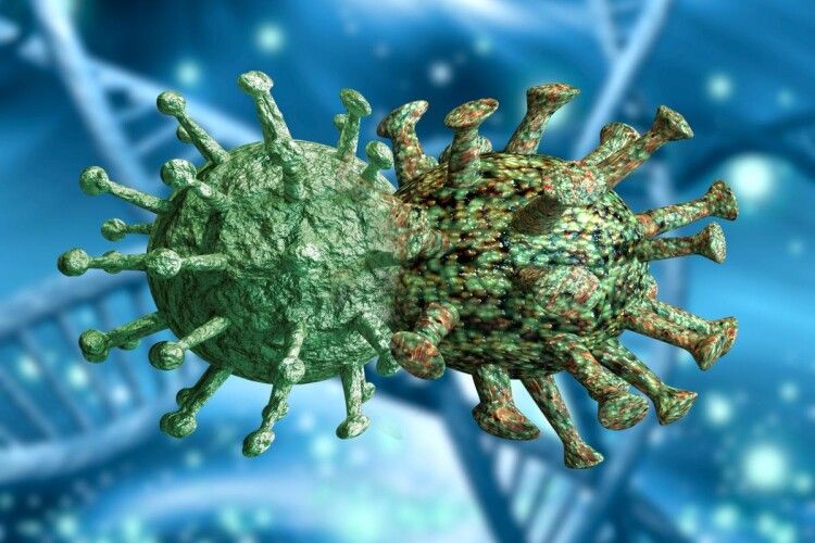 Новий штам коронавірусу Омікрон: як він виник і чим небезпечний
