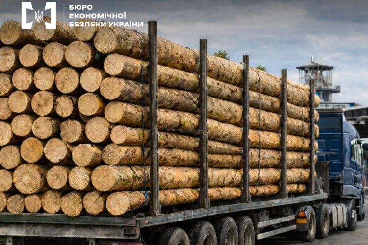 Ліс – у Польщу, директора – під суд: волинський бізнесмен погорів на «липових» документах