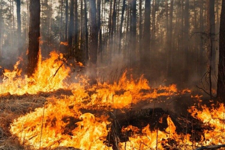 У Луцькому районі - надзвичайно високий рівень пожежної небезпеки!