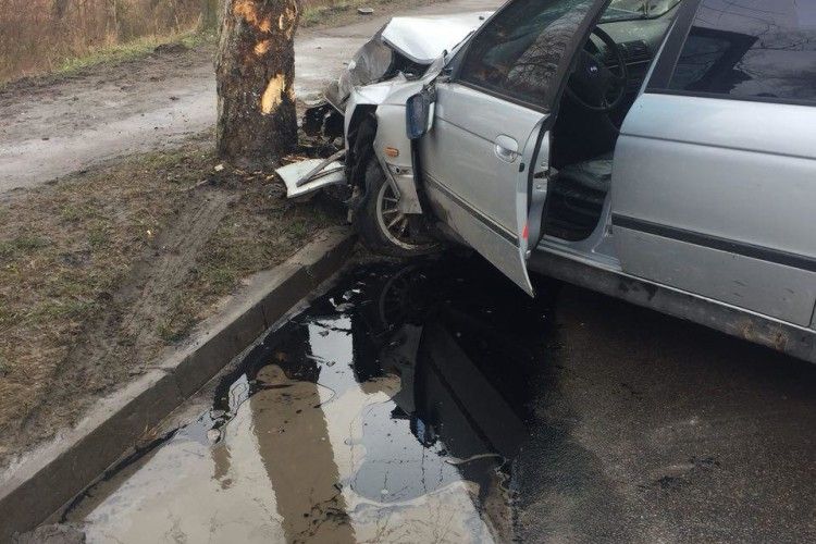 У Луцьку легковик врізався в дерево
