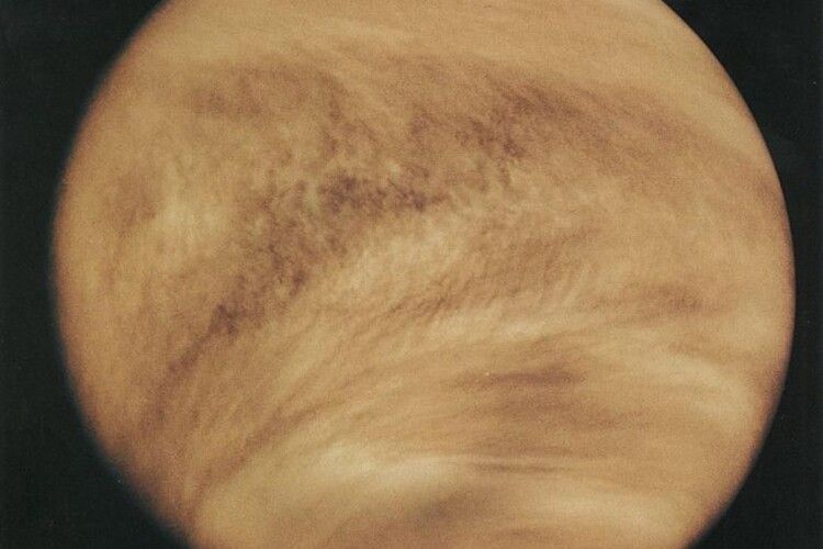 Вчені дійшли висновку, що на Венері могло існувати життя