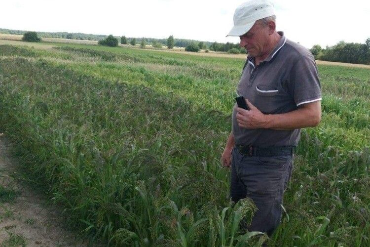 На Любешівщині вже під час посівної розраховують на високі врожаї