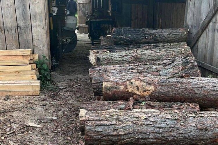 У волинянина вилучили незаконні деревину, гроші і зброю
