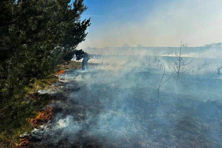 Сьогодні волинські рятувальники ліквідували чотири великі пожежі сухої трави
