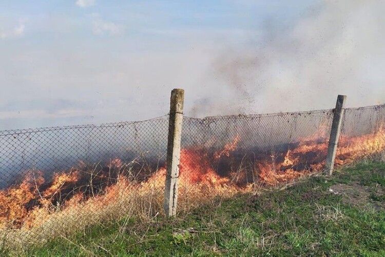 На Львівщині за добу рятувальники загасили 9 пожеж сухостою