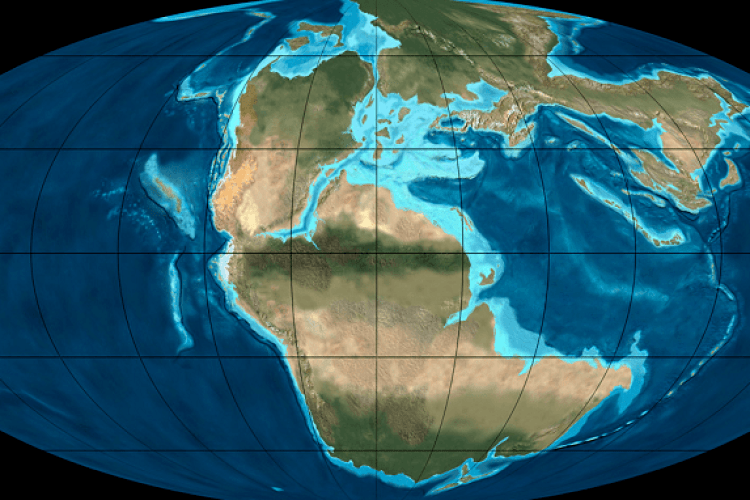 Який пазл утвориться, якщо об’єднати континенти Землі? (Відео)