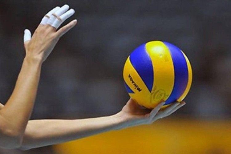 У Камені-Каширському відбудеться фестиваль з волейболу