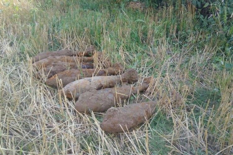 На Волині сапери знешкодили 7 мінометних мін, виявлених на жнивному полі