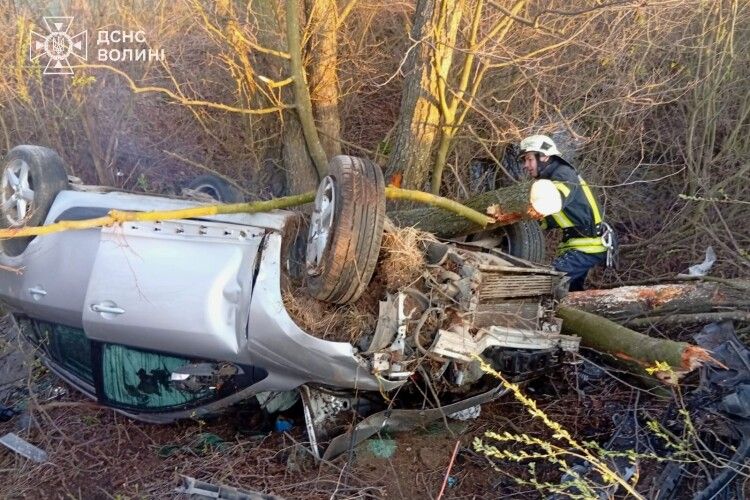 У Луцькому районі автомобіль врізався в дерево: водій загинув на місці