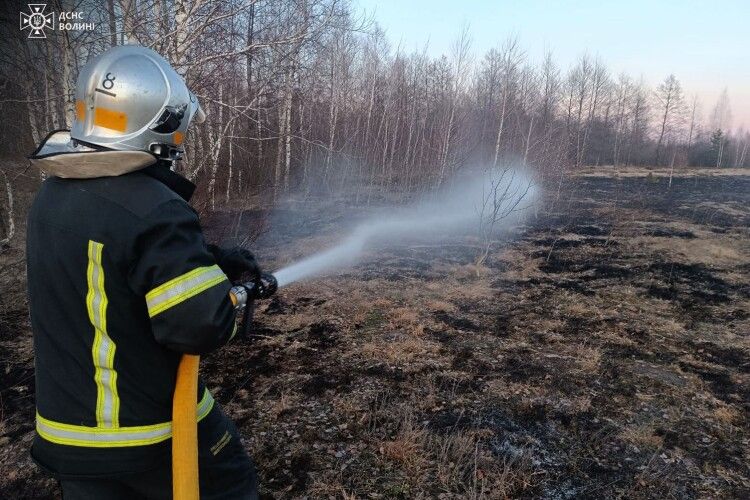 На Волині за добу горіли житлові будинки та сухостій