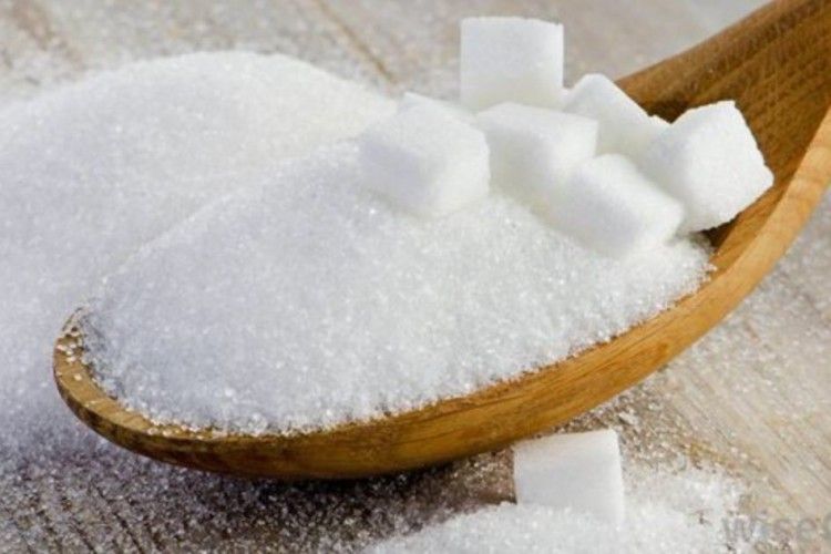 Гнідавський цукровий завод буде мати на 8% менше сировини ніж минулоріч