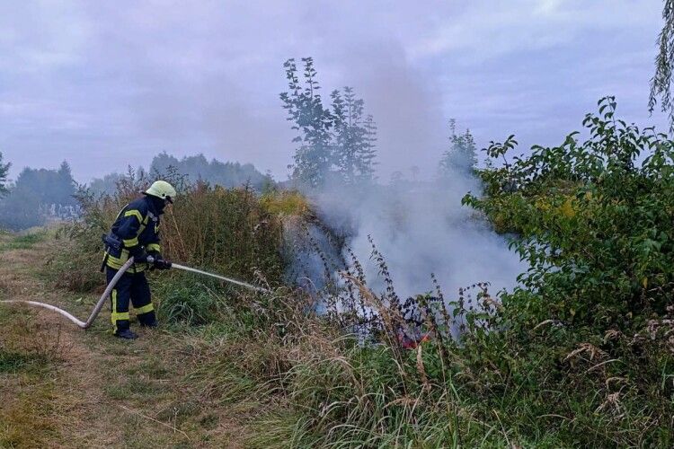 На Волині дитячі пустощі ледь не спалили цвинтар