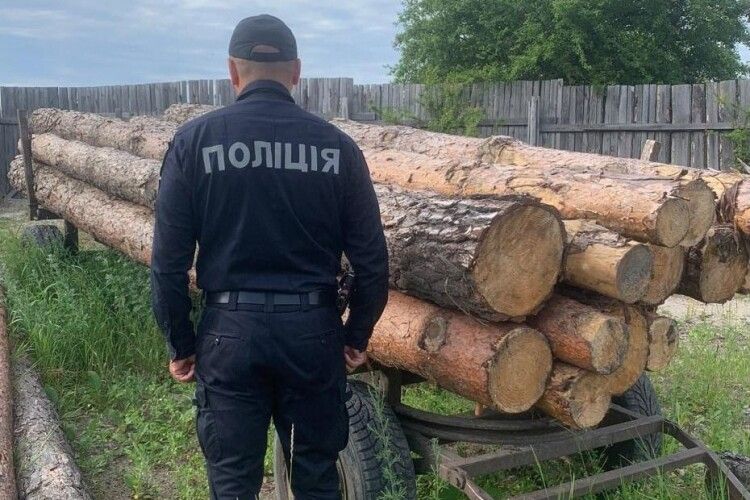 На Рівненщині спіймали крадіїв лісу «на гарячому»