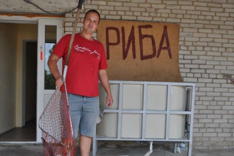 Африканський сом на волинській аквафермі