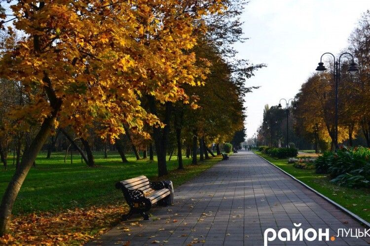 «Допустив серйозні порушення»: у Луцьку звільнили директора комунального підприємства