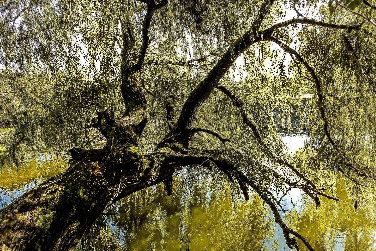  Купатися у Стиру лучанам стало безпечніше