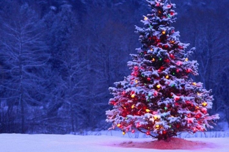 У Мінську погодили «новорічне перемир’я» з опівночі 23 грудня