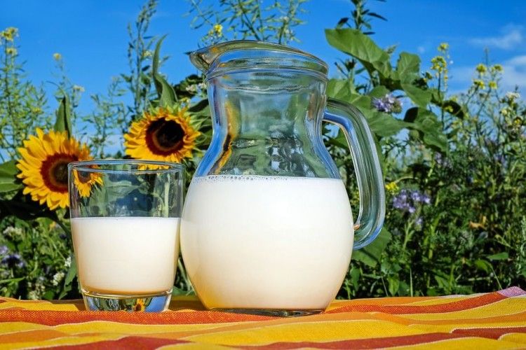 Україна в десятці світових лідерів з експорту молочної продукції.
