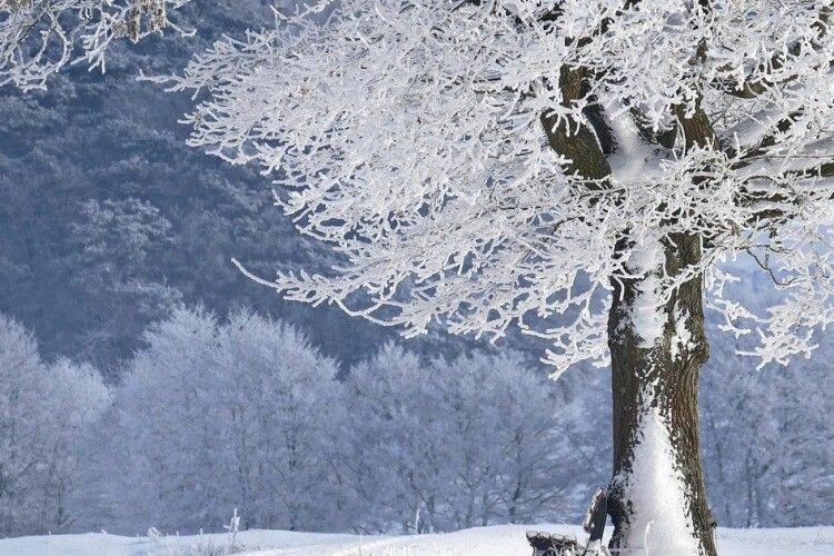 Якою буде погода на Волині