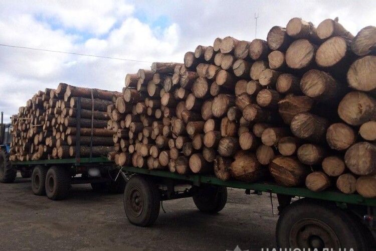 На Волині лісова охорона затримала трактор з деревиною невідомого походження