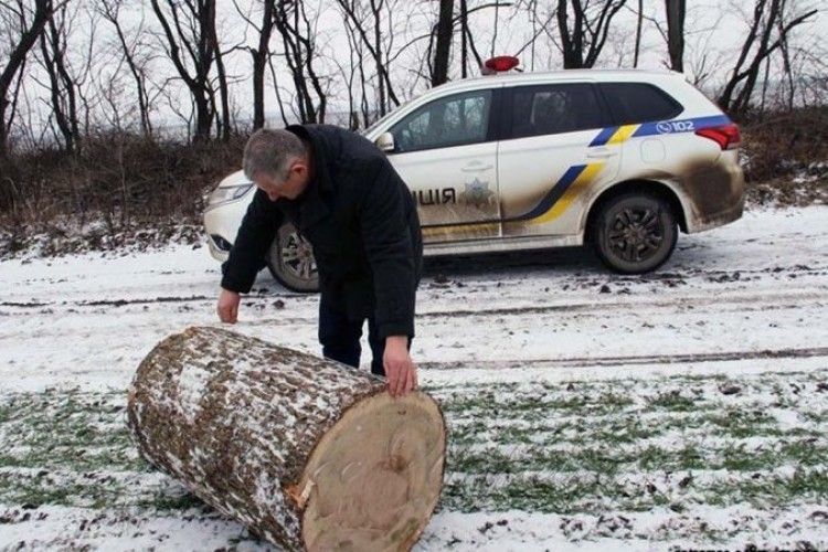 На подвір’ї волинянина знайшли украдені дубочки