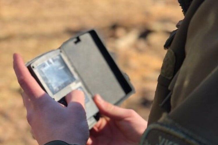 На Волині браконьєри вбили трьох кабанів