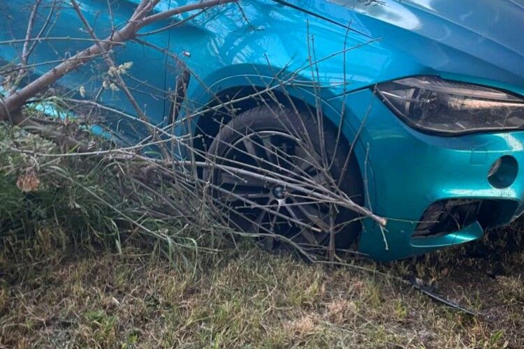 Автівка злетіла з дороги: на Волині сталася аварія (Фото)