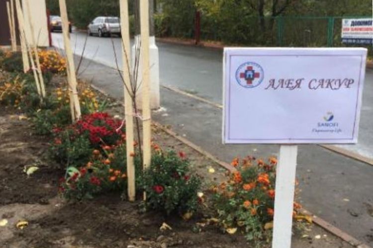 Японські сакури у Рівному                