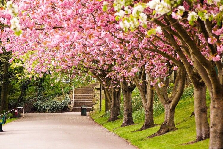 Якою буде погода на Волині в останні дні березня