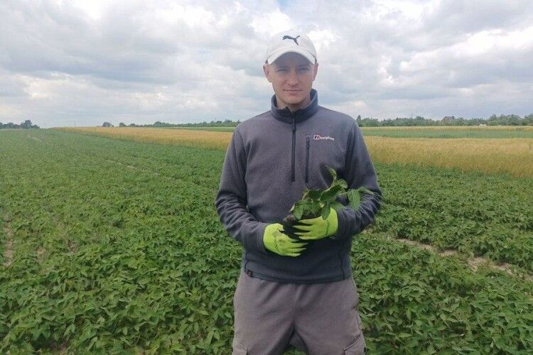 Батьківська справа в молодих руках: як 29-річний фермер з Волині керує на 50 гектарах землі (Відео)