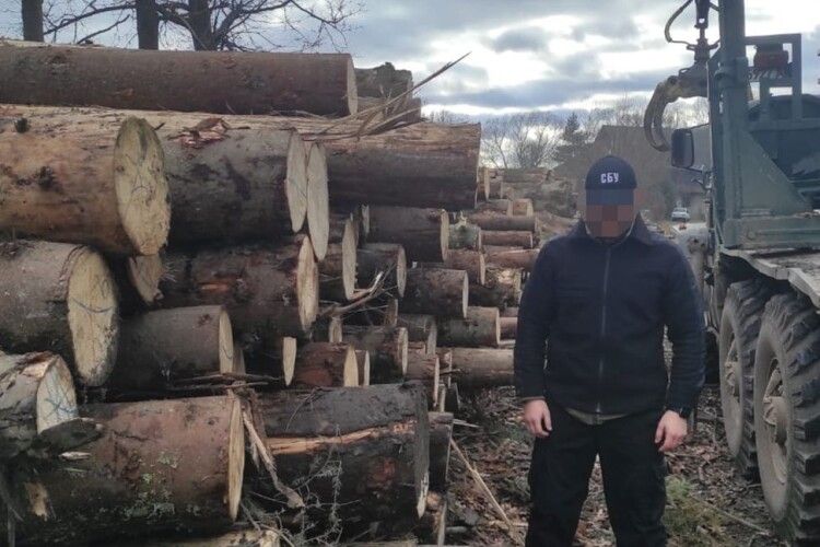 Поліція викрила бізнесмена, який вирубав лісу на 2 млн. гривень