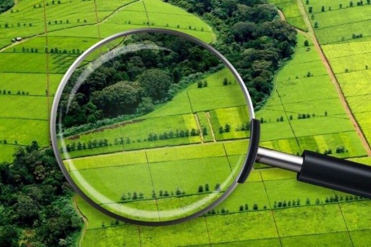 На Любешівщині зареєстровано 1207 земельних наділів – це найбільше в області