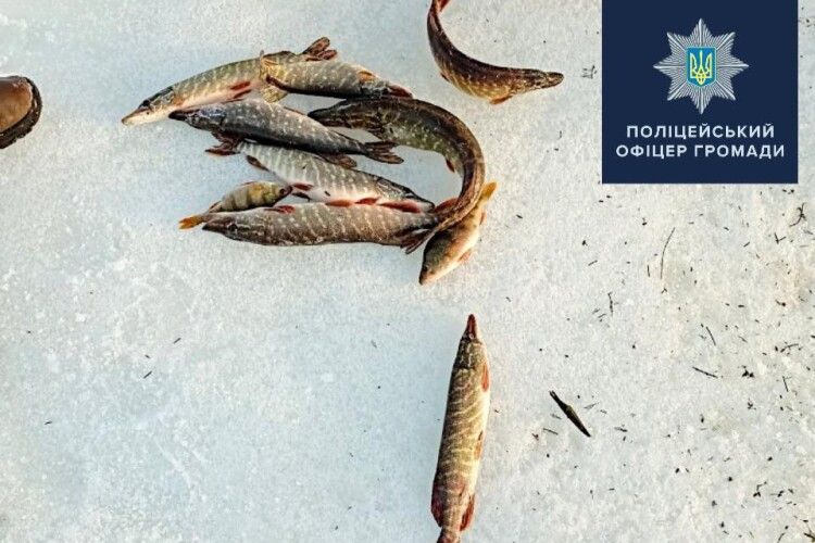Спіймали рибалок, які незаконно наловили 9 щук і 2 окуні на 3 тисячі гривень (Фото)