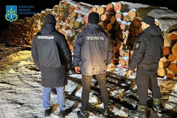 Волинські прокурори  передали в управління АРМА арештовану деревину вартістю понад 1,2 млн гривень