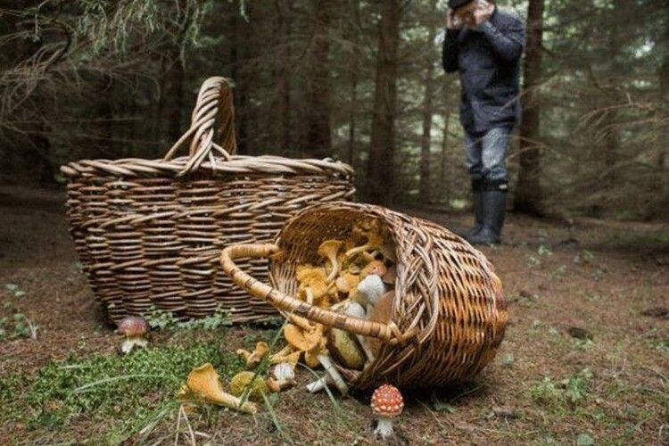 Сьогодні зранку волинські грибники натрапили у лісі на скелетований труп людини