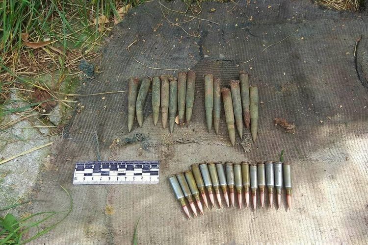 Протягом доби поліцейські вилучили у волинян майже півсотні різноманітних набоїв