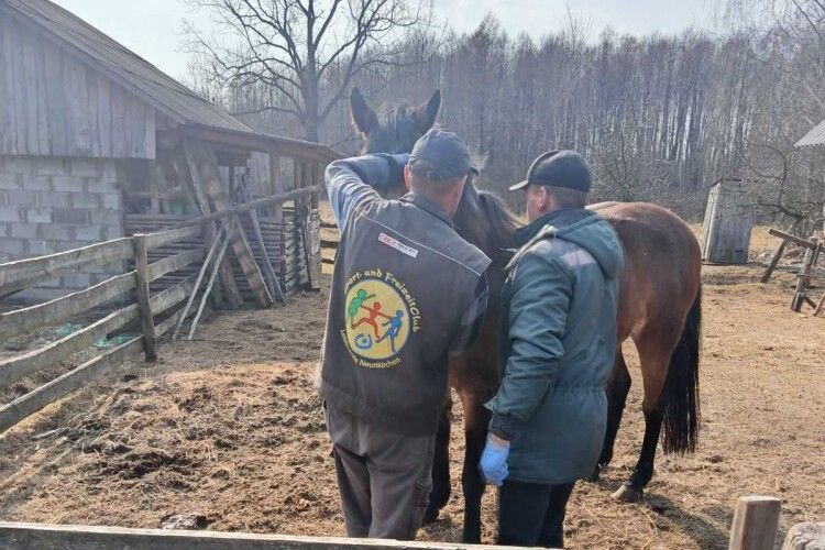 У громаді на Волині триває профілактична вакцинація тварин від сказу