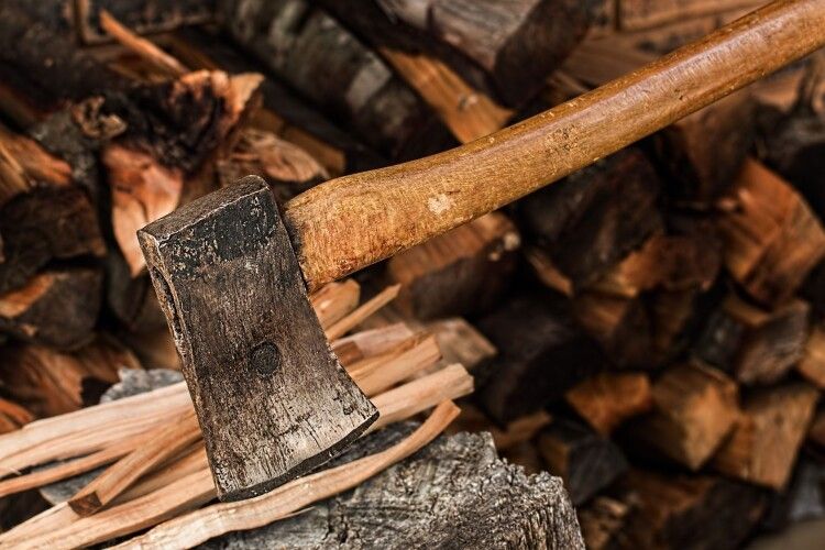 Волиняни незаконно вирубали дерев на 2 мільйони гривень: відкрито 149 кримінальних проваджень 