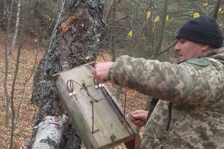 В Нацпарку на Волині виявили браконьєрські пастки