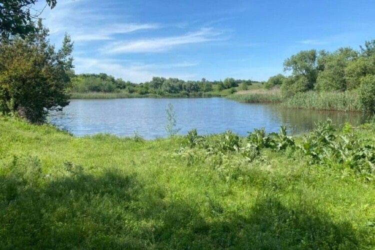 У громаді на Волині шукають охочих взяти в оренду ставок на 10 років