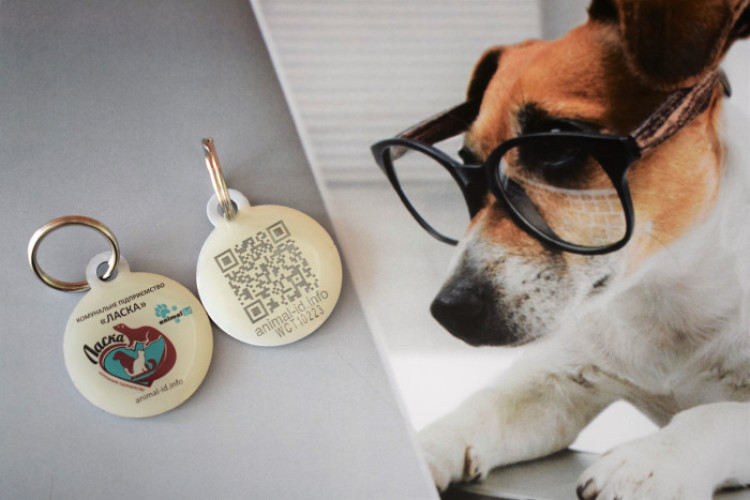 Відтепер домашніх тварин реєструватимуть у ЦНАПі Луцька