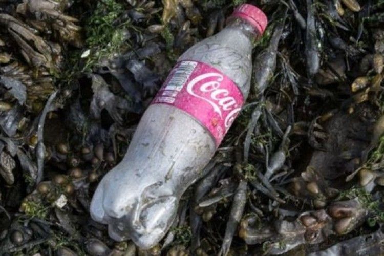  Як Британія хоче побороти забруднення пластиком за 7 років