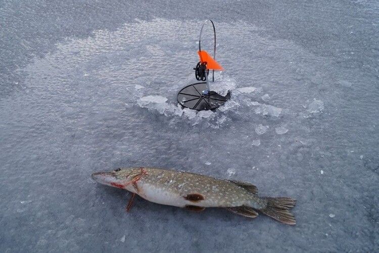 На Волині браконьєри влаштували «засідку» на щуку та накивали п'ятами