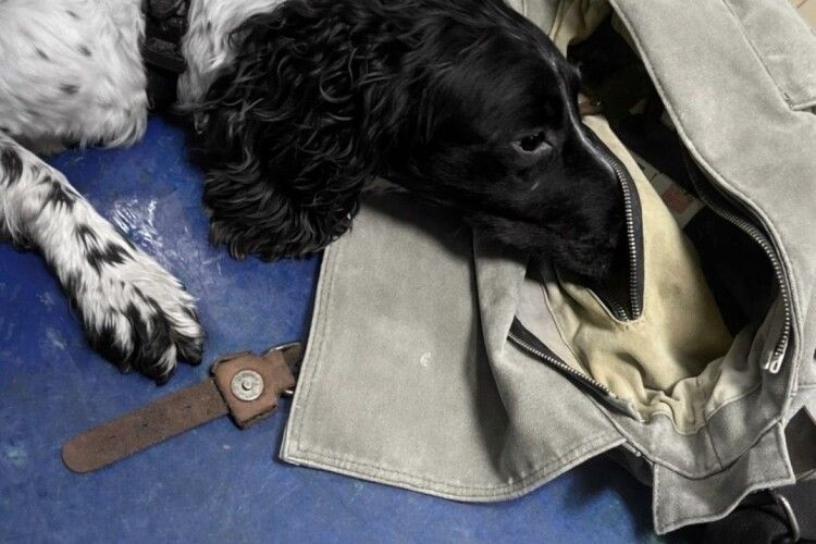 На Волинській митниці виявили канабіс у пасажира автобуса (Фото)