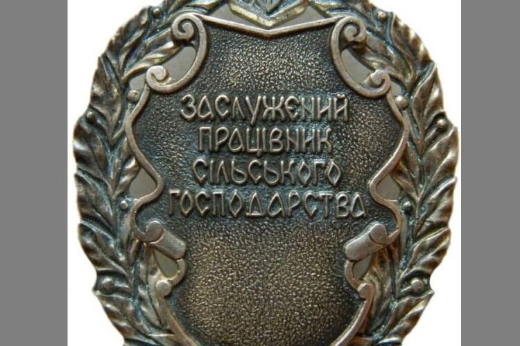 Як відзначили волинян до Дня Соборності