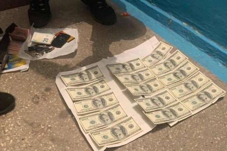 Чиновницю Волинської ОДА затримали на одержанні 1,5 тисячі доларів: їй повідомили про підозру (Фото)