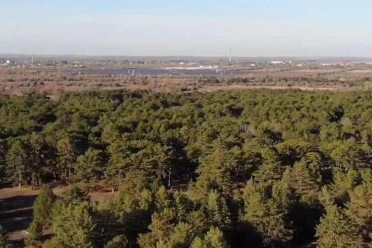 На Волині в сільської ради забрали 14 гектарів землі 