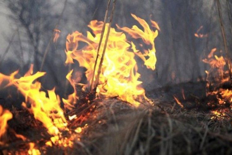 Волинянка стверджує, що родичка… підпалили їй тин